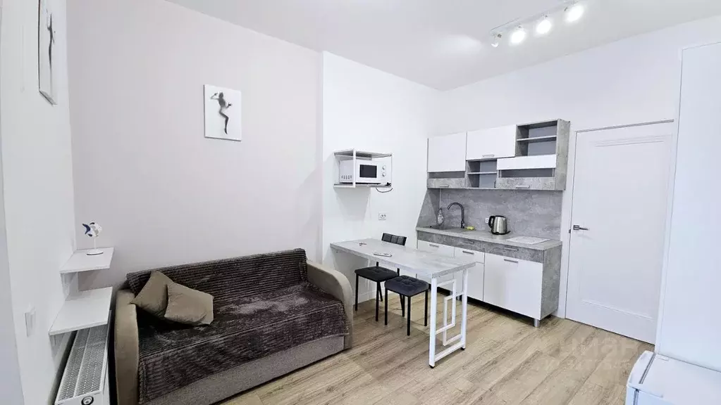 Студия Санкт-Петербург ул. Дыбенко, 3 (18.0 м) - Фото 0