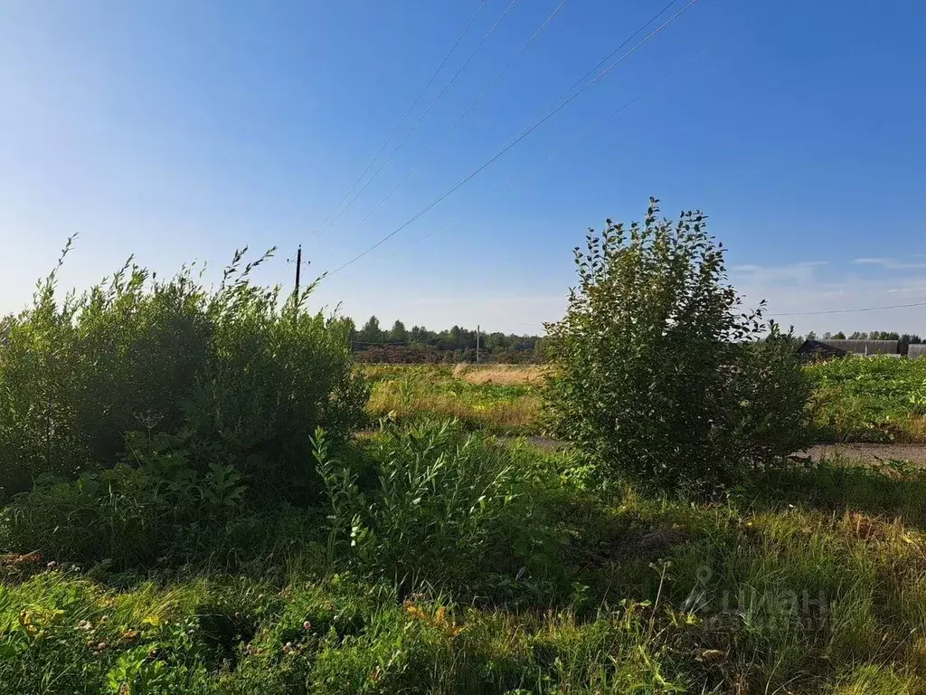 Участок в Московская область, Пушкинский городской округ, д. Луговая  ... - Фото 2