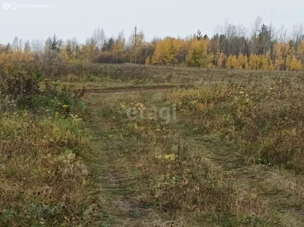 Участок в Алапаевск, Рубиновая улица (11 м) - Фото 1