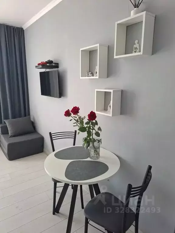 Студия Хакасия, Абакан ул. Маршала Жукова, 89 (27.0 м) - Фото 2