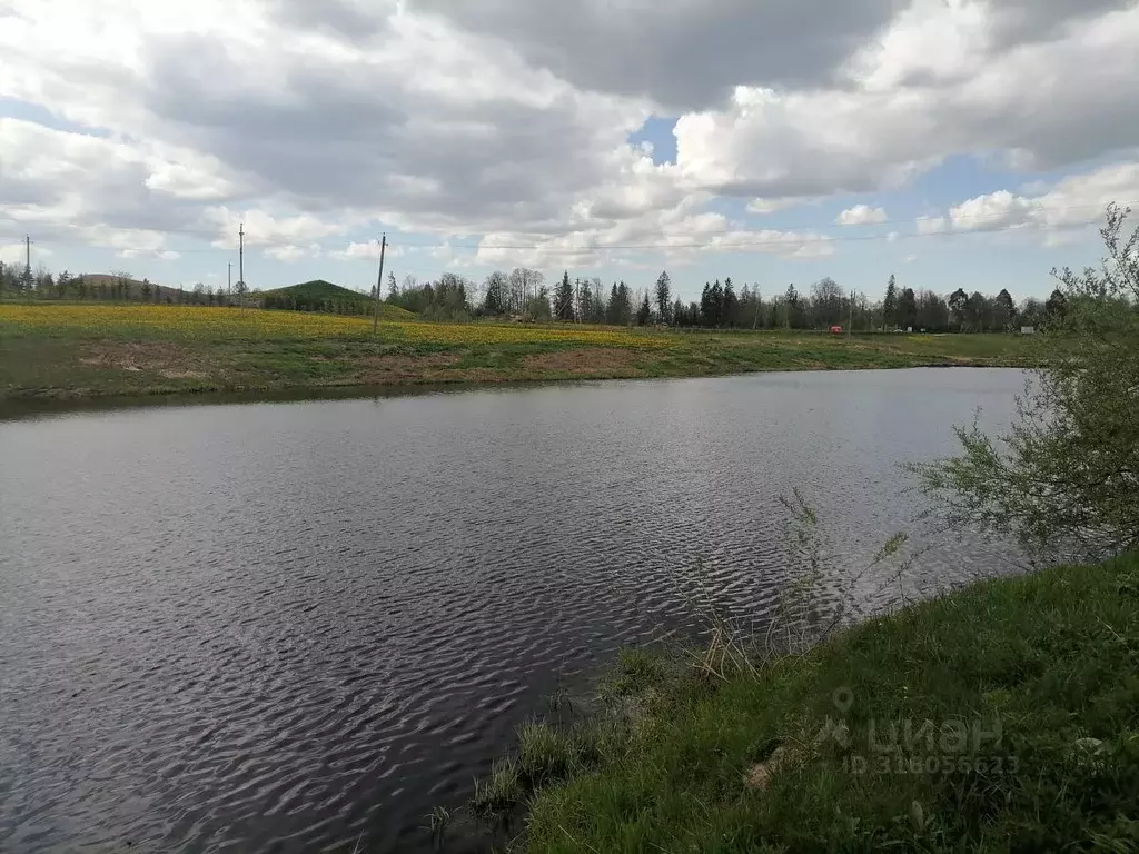 Участок в Ленинградская область, Тосненское городское поселение, д. ... - Фото 1