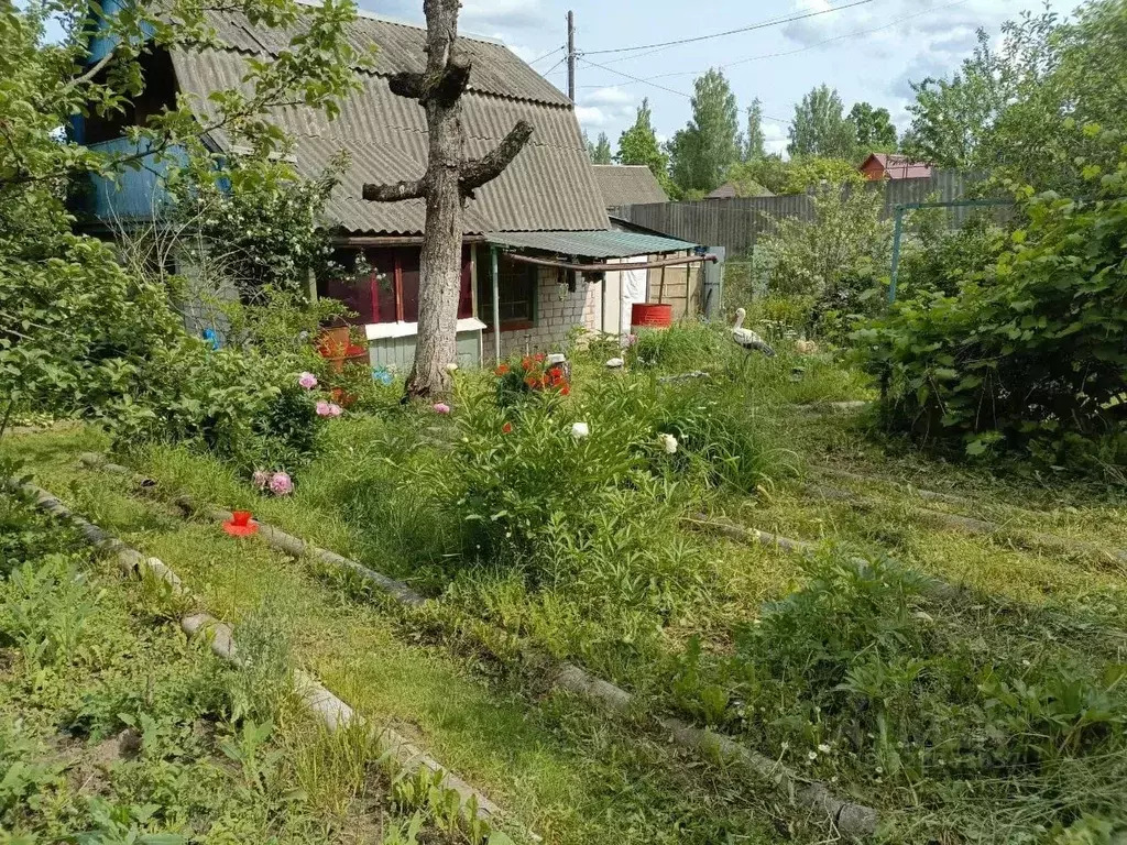 Дом в Брянская область, Фокино Мичуринец-3 садоводческое товарищество, ... - Фото 1