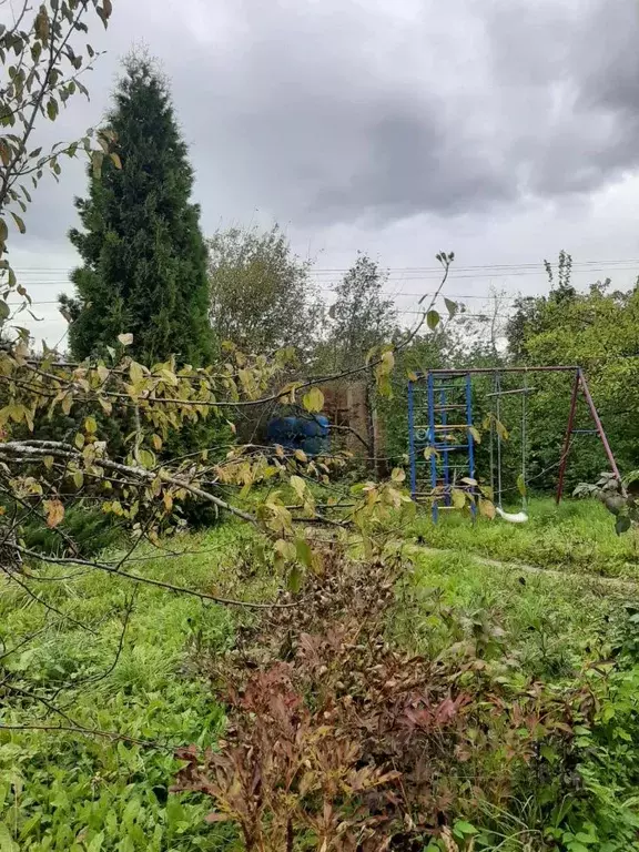 Участок в Санкт-Петербург Торики-2 СНТ, 3-я линия (11.0 сот.) - Фото 2