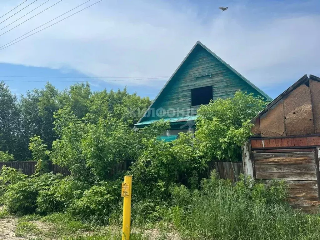 Дом в Новосибирская область, Ордынский район, с. Красный Яр ул. Мира ... - Фото 0