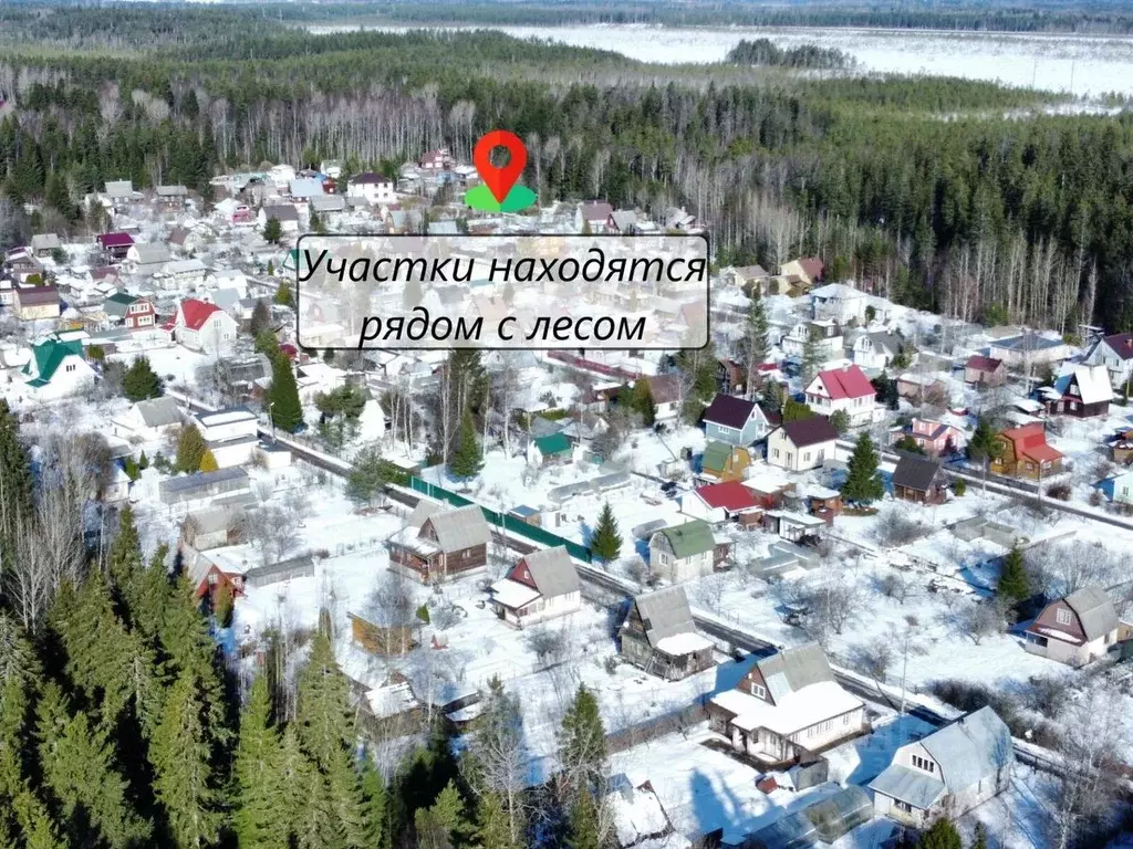 Участок в Ленинградская область, Выборгский район, Красносельское ... - Фото 1