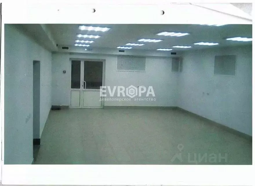 Торговая площадь в Ульяновская область, Ульяновск ул. Шоферов, 3 (111 ... - Фото 0