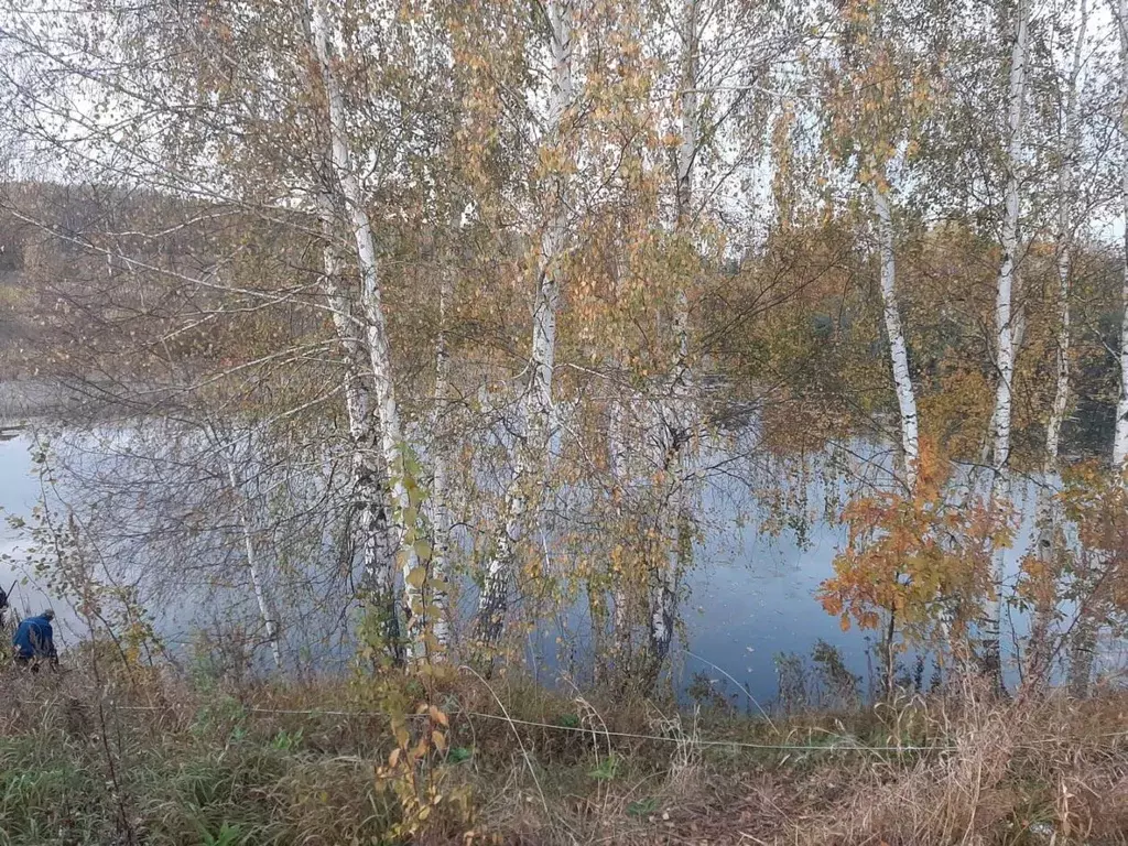 Участок в Московская область, Ступино городской округ, Ясные Зори-3 дп ... - Фото 2