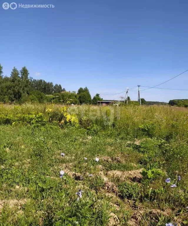 Участок в Калужская область, Ферзиковский муниципальный округ, ... - Фото 2