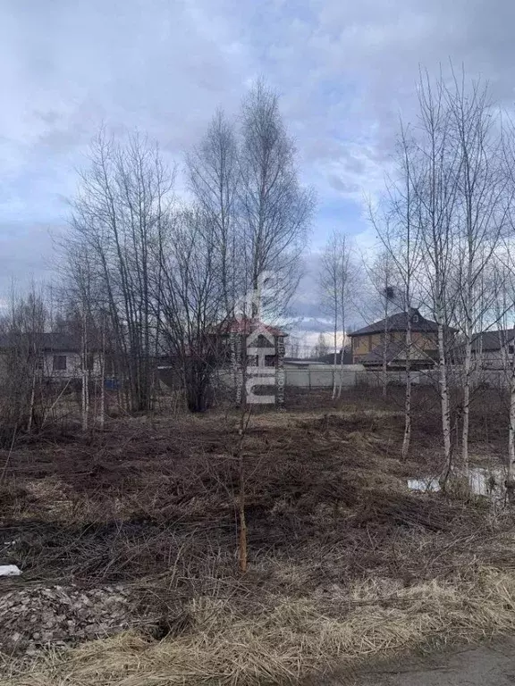 Участок в Нижегородская область, Бор ул. Ворожейкина, 116 (10.0 сот.) - Фото 2