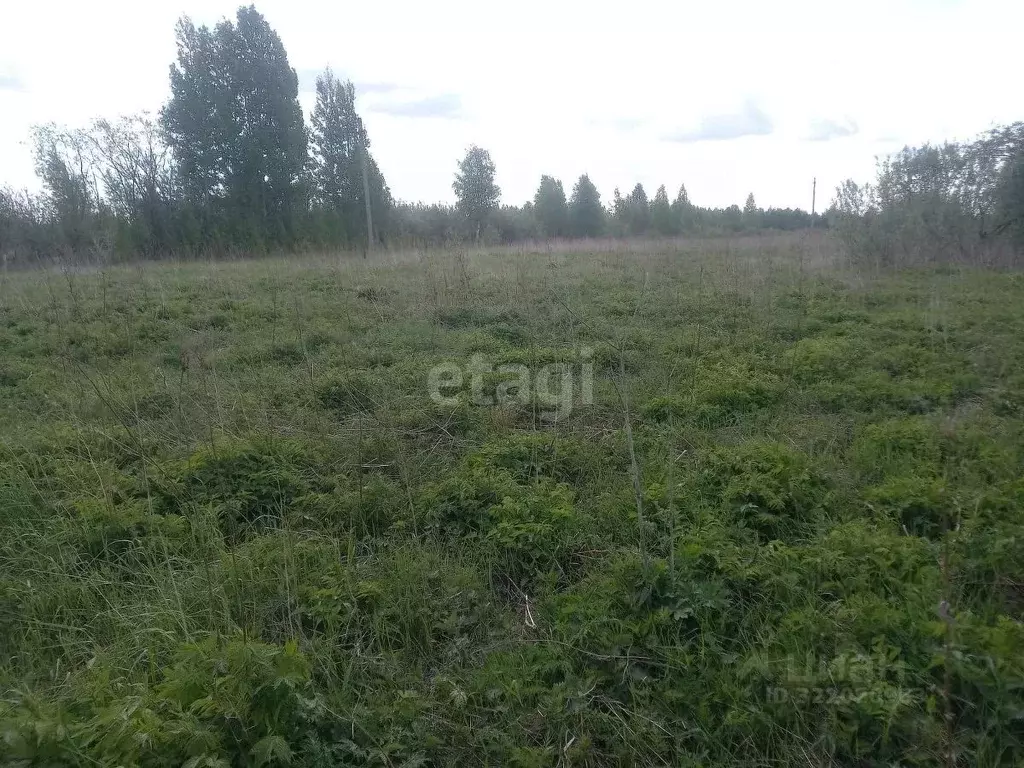 Участок в Архангельская область, Приморский муниципальный округ, д. ... - Фото 1
