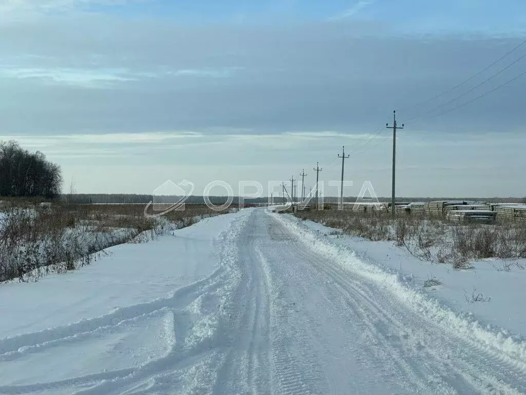 Участок в Тюменская область, Тюменский район, Кулаковское ... - Фото 0