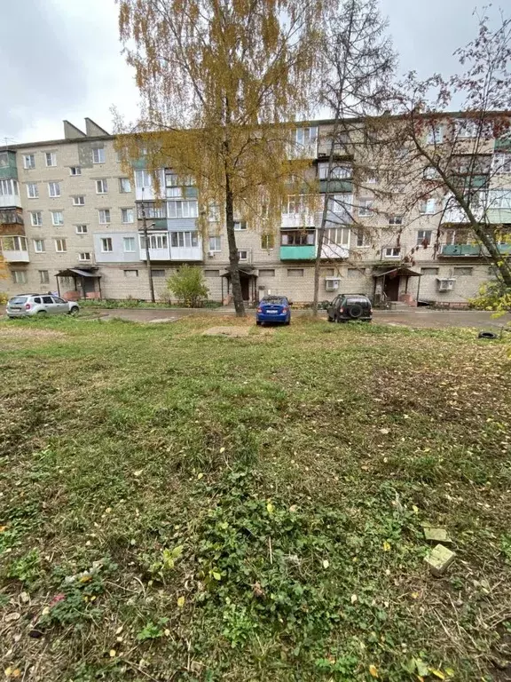 2-к кв. Нижегородская область, Бор 2-й мкр, ул. 2-й Микрорайон, 11 ... - Фото 1