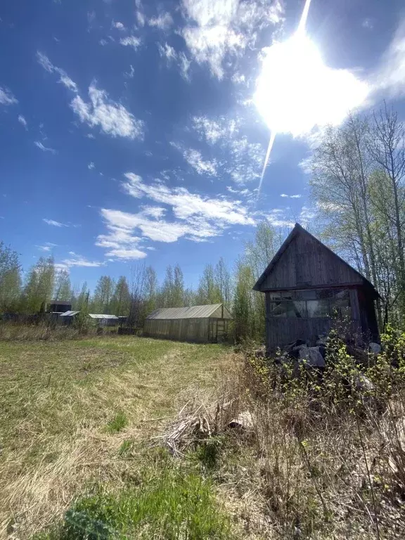 Участок в Ханты-Мансийский АО, Нижневартовск Нефтяник СОНТ,  (6.0 ... - Фото 2