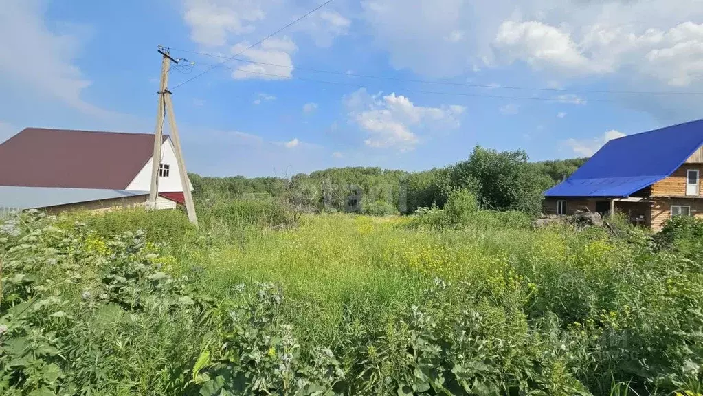 Участок в Кемеровская область, Кемеровский район, с. Мазурово ... - Фото 0