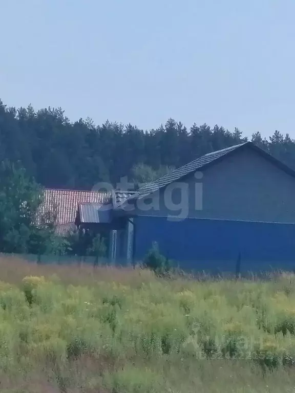 Участок в Брянская область, Брянский район, Новодарковичское с/пос, д. ... - Фото 2