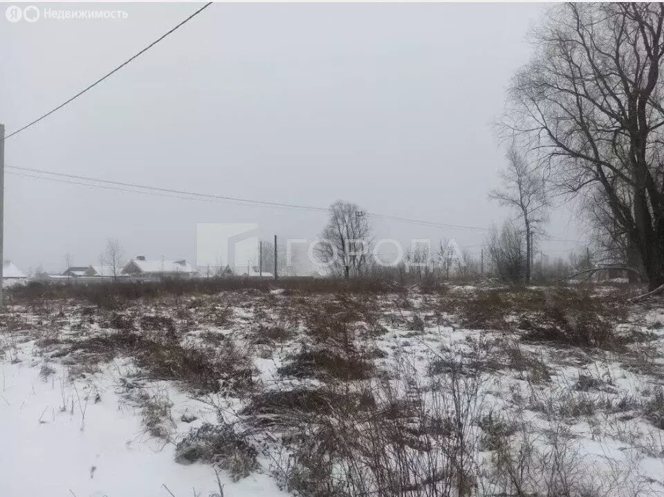 Участок в Фирсово, Майская улица, 8 (8 м) - Фото 2