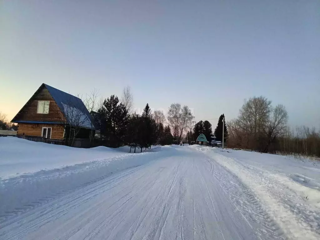 Участок в Новосибирская область, Колыванский район, Омега СНТ  (8.78 ... - Фото 1