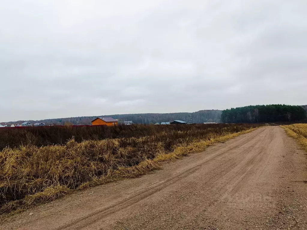 Участок в Московская область, Домодедово городской округ, с. ... - Фото 1