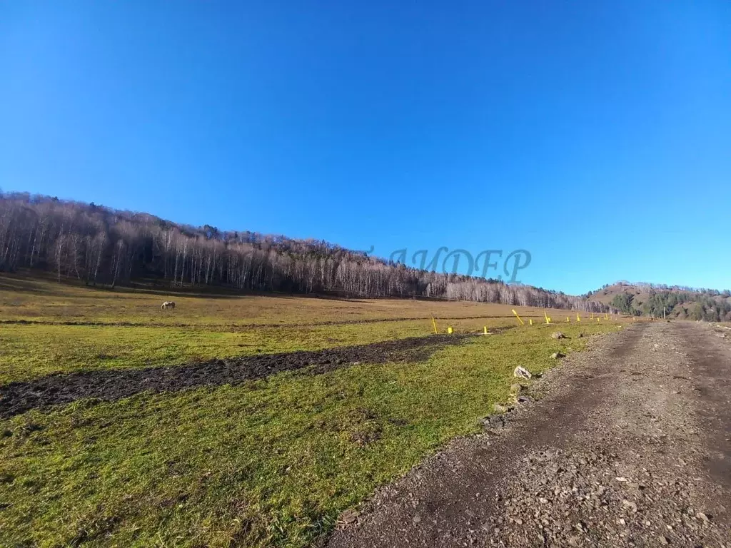 Участок в Алтай, Майминский район, с. Бирюля ул. Таркольская, 6 (15.0 ... - Фото 1