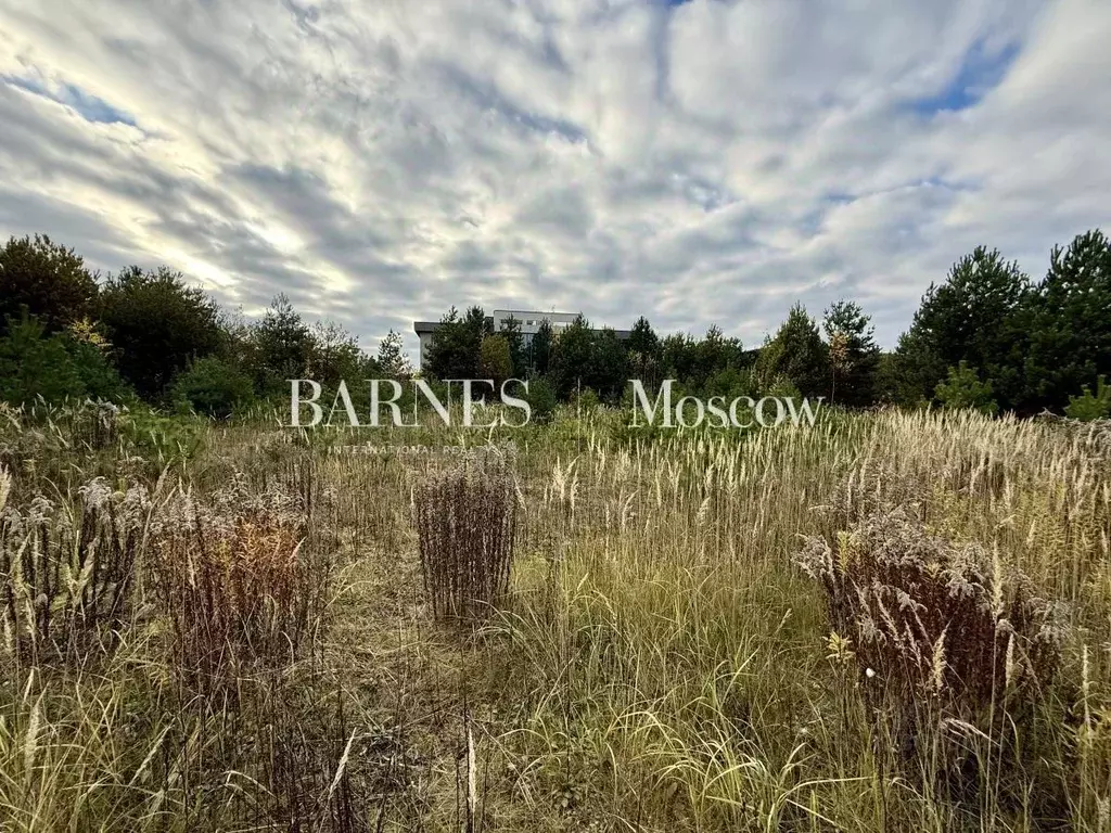 Участок в Московская область, Истра муниципальный округ, д. Чесноково, ... - Фото 2
