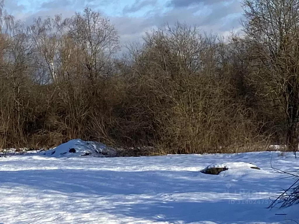 Участок в Московская область, Клин городской округ, д. Трехденево  ... - Фото 1