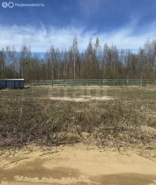 Участок в Ярославский муниципальный округ, СНТ Силикатчик-2, Рябиновая ... - Фото 2