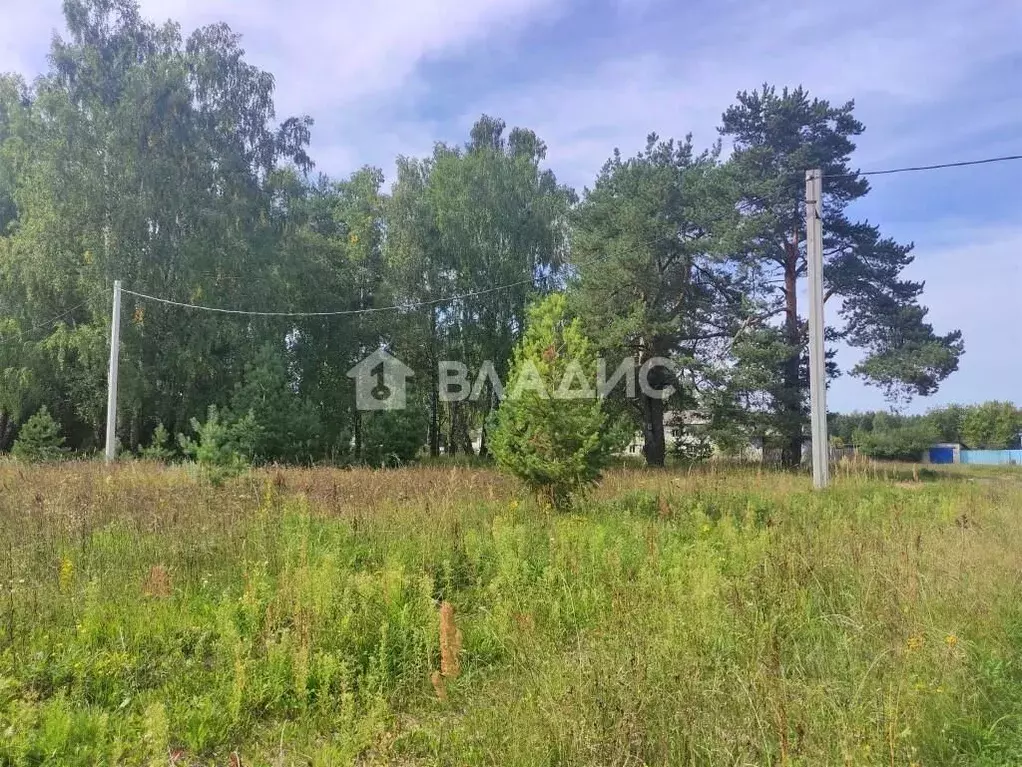 Участок в Владимирская область, Судогодский район, Андреевское ... - Фото 0