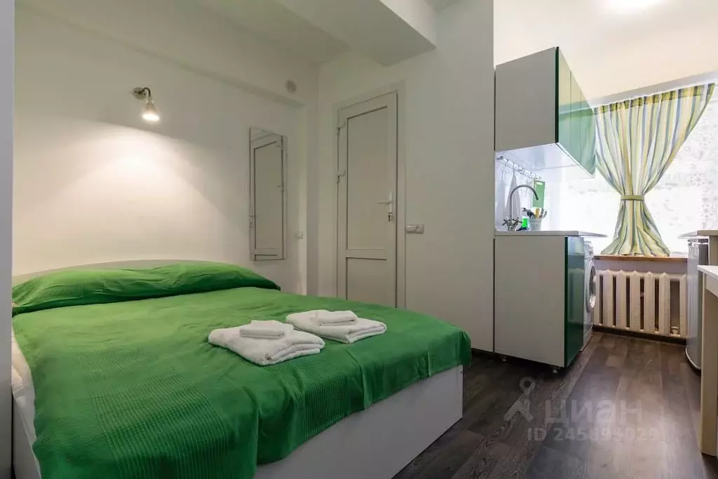 Студия Санкт-Петербург Вознесенский просп., 55 (20.0 м) - Фото 1