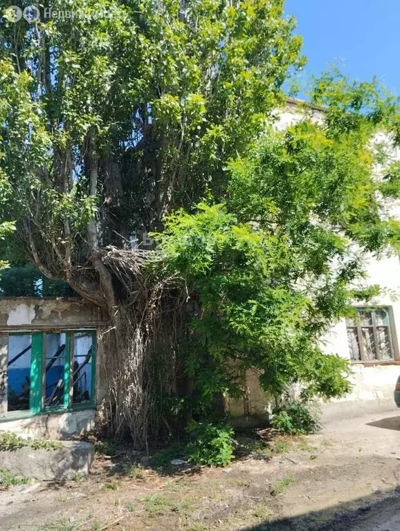 Помещение свободного назначения (350 м) - Фото 1