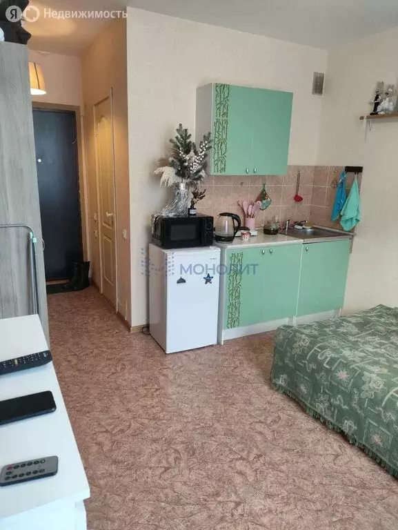 Квартира-студия: Нижний Новгород, Бурнаковская улица, 79 (17.1 м) - Фото 2