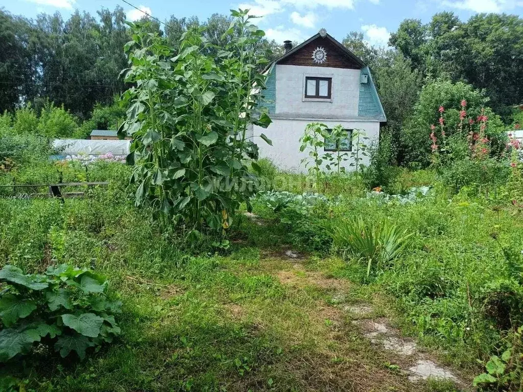 дом в новосибирская область, искитимский район, д. бердь станционная . - Фото 0