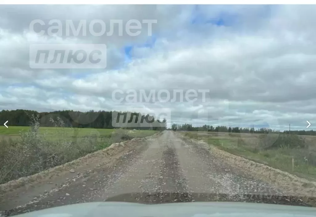 Участок в Московская область, Клин городской округ, д. Заболотье, ... - Фото 0