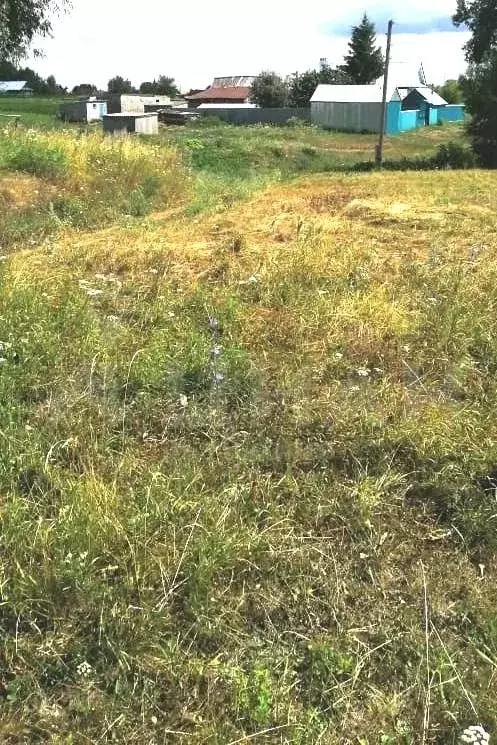 В атнинском районе упал. В атнинском районе упал. В атнинском районе упал. В атнинском районе упал. В атнинском районе упал.