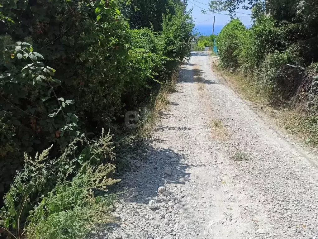 Участок в Краснодарский край, Геленджик  (4.0 сот.) - Фото 1