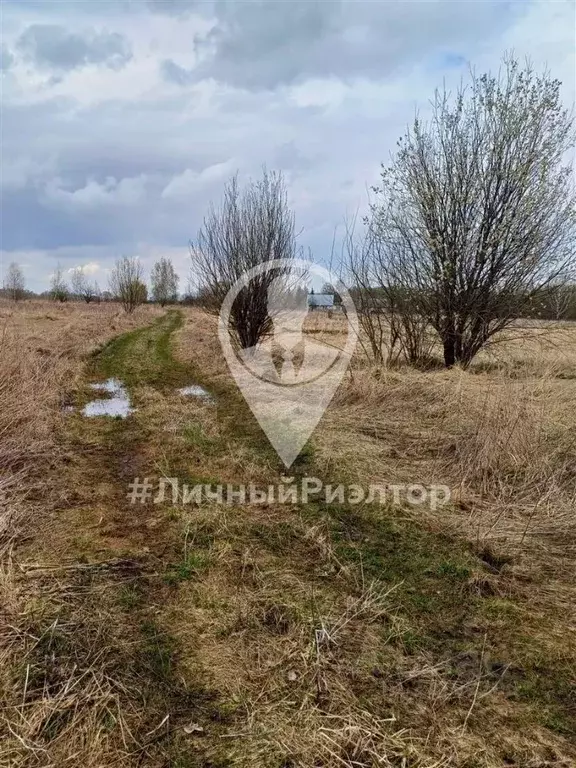 Участок в Рязанская область, Рязанский район, Окское с/пос, с. Дашки-2 ... - Фото 0