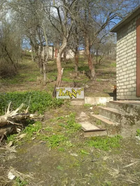 Дом в Орловская область, Орел Часовщик СНТ, 139 (45 м) - Фото 2