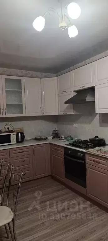 1-к кв. Нижегородская область, Бор ул. Фрунзе, 21 (46.0 м) - Фото 1
