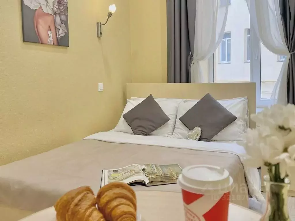 1-к кв. Санкт-Петербург Литейный просп., 61 (14.0 м) - Фото 1