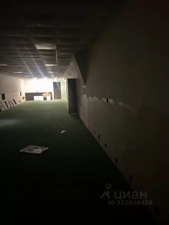 Помещение свободного назначения в Татарстан, Набережные Челны ул. ... - Фото 1