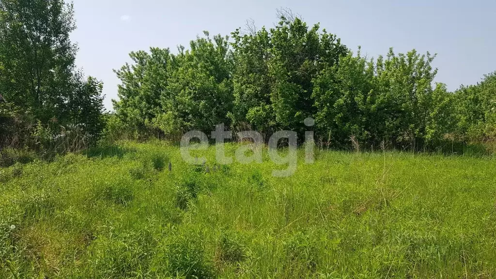 Участок в Брянская область, Брянский район, Снежское с/пос, с. ... - Фото 1