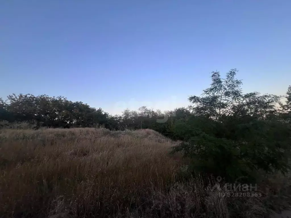 Участок в Ростовская область, Аксайский район, Большелогское с/пос, ... - Фото 2