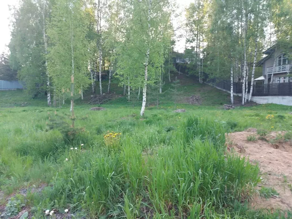 Участок в Ленинградская область, Всеволожский район, Бугровское ... - Фото 0