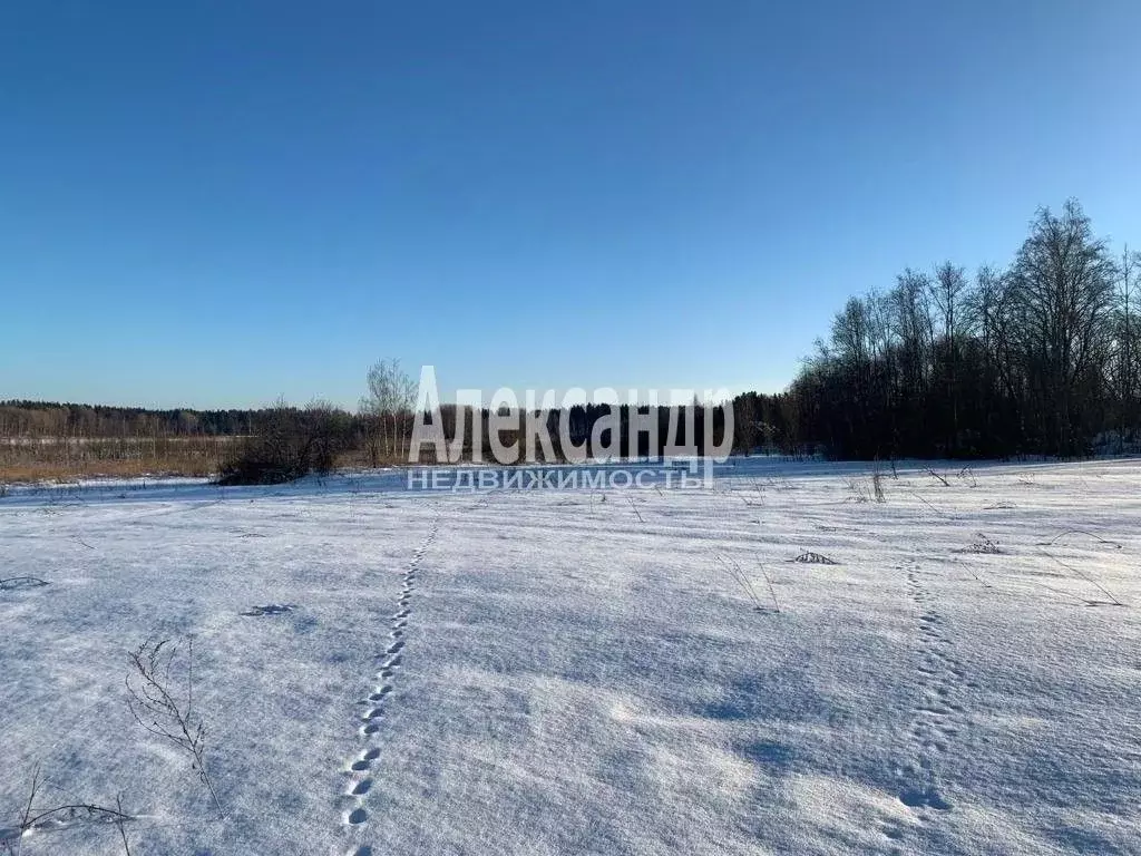 Участок в Ленинградская область, Выборгский район, Каменногорское ... - Фото 0