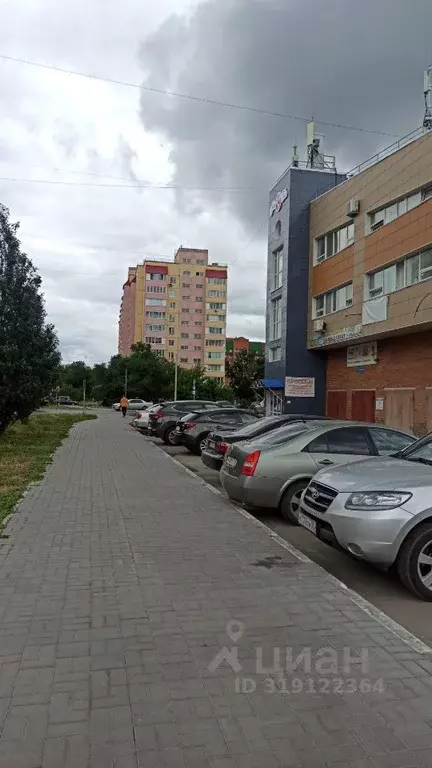Офис в Омская область, Омск ул. Степанца, 3/1 (48 м) - Фото 0