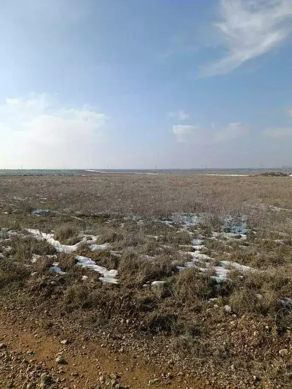 Участок в Крым, Красногвардейский район, Амурское с/пос, с. Новозуевка ... - Фото 1