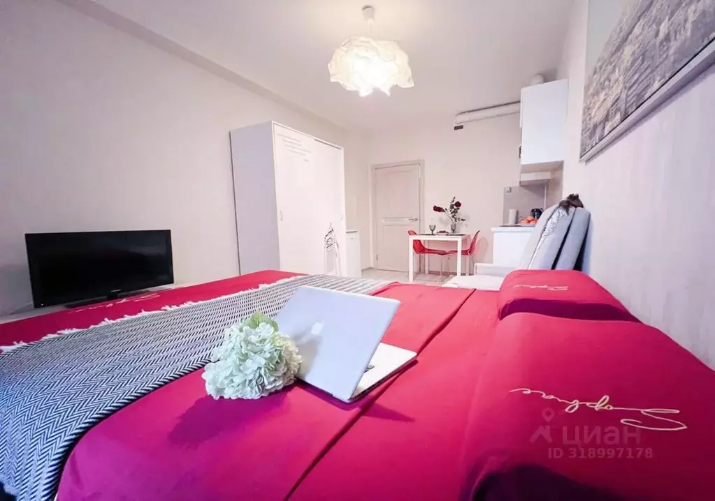 Студия Санкт-Петербург Пулковское ш., 14Е (28.0 м) - Фото 1