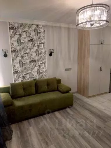 Студия Московская область, Красногорск городской округ, Путилково пгт ... - Фото 2