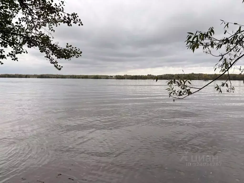 Участок в Тверская область, Кимрский муниципальный округ, д. Кадниково ... - Фото 1