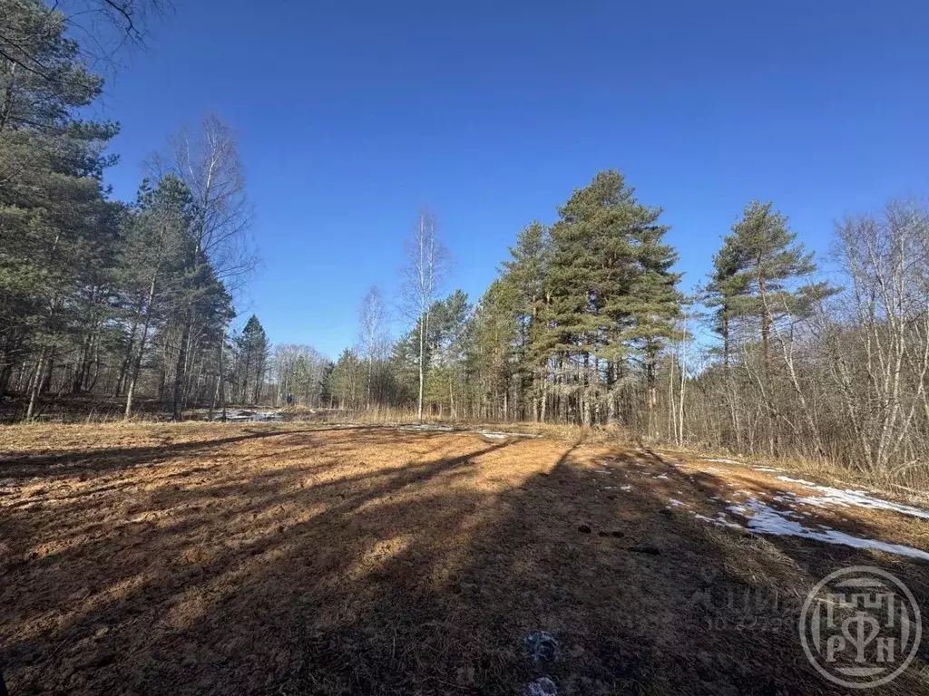 Участок в Ленинградская область, Лужский район, Серебрянское с/пос, д. ... - Фото 2