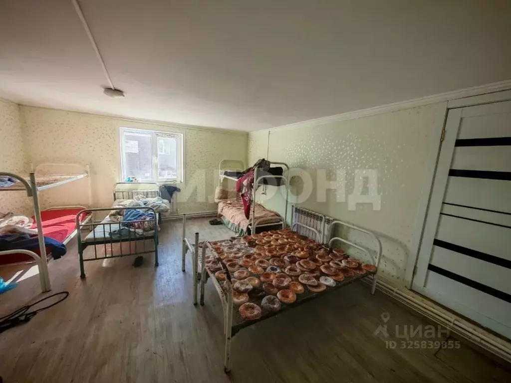 Студия Новосибирская область, Новосибирск пер. 1-й Энтузиастов, 10 ... - Фото 2